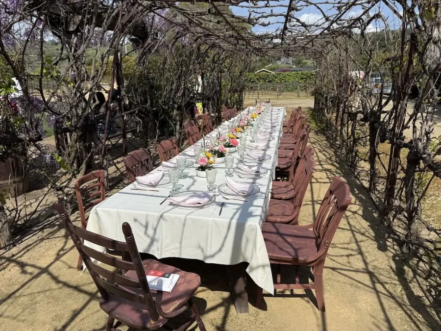Banquet table among the vines with petite blossom groupings spaced between simple settings — bud vase design for Oakland and Hercules weddings